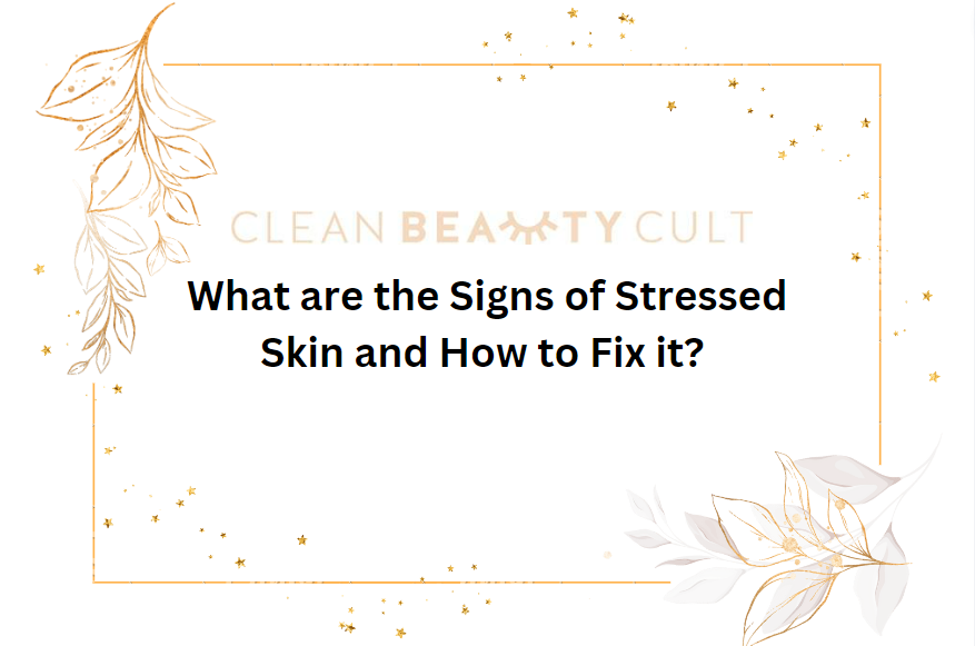 What are the Signs of Stressed Skin and How to Fix it?